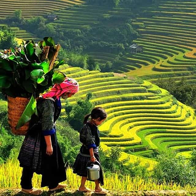 Sapa 3 Days Trekking Tour by Bus (1 Night Homestay 1 Night Hotel)
