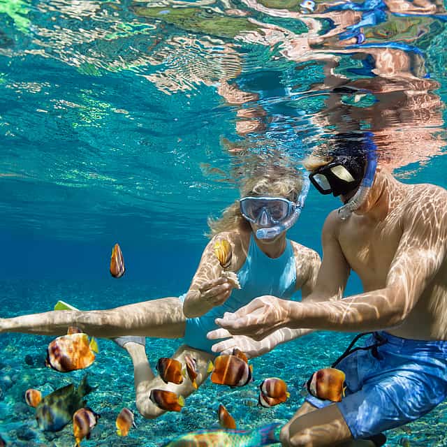 Snorkeling Full-day Tour to Nusa Lembongan and Nusa Penida