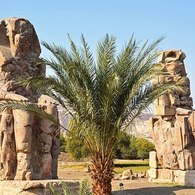 Explore Luxor from Marsa Alam - one day trip