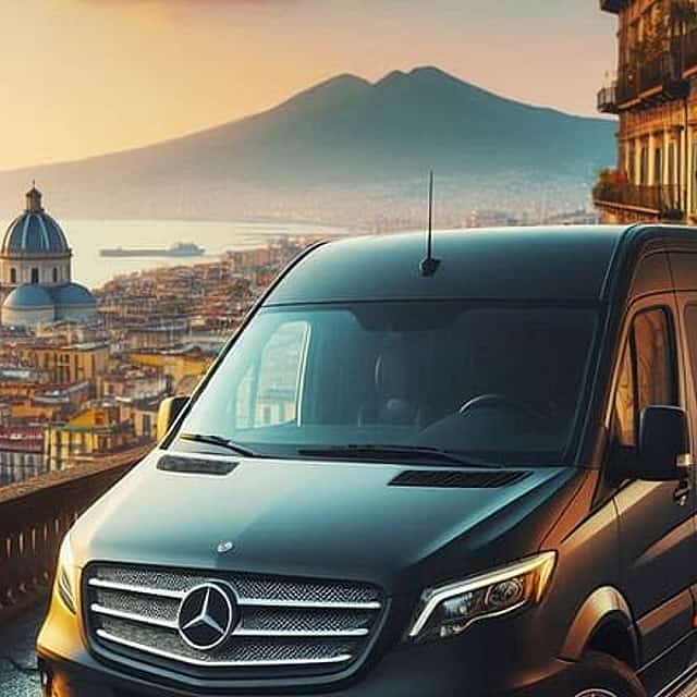 Mt. Vesuvius, Pompeii & Sorrento day-trip in 8 hours (privately)
