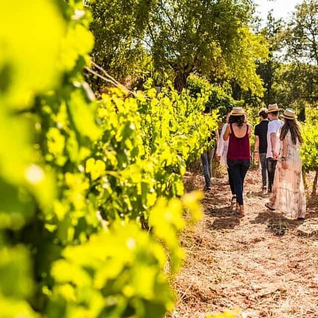 Montserrat Full Day Tour with Farmhouse Lunch and Winery Experience