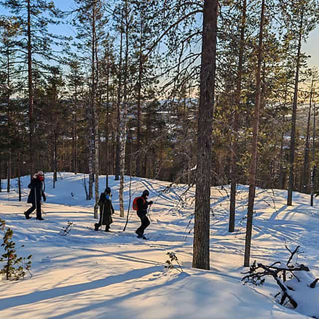 Wilderness Snowshoeing with a Campfire Stop in a Private Hut, Levi