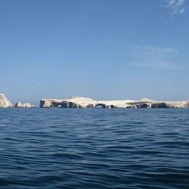 Ballestas Islands Sigthseeing Tour