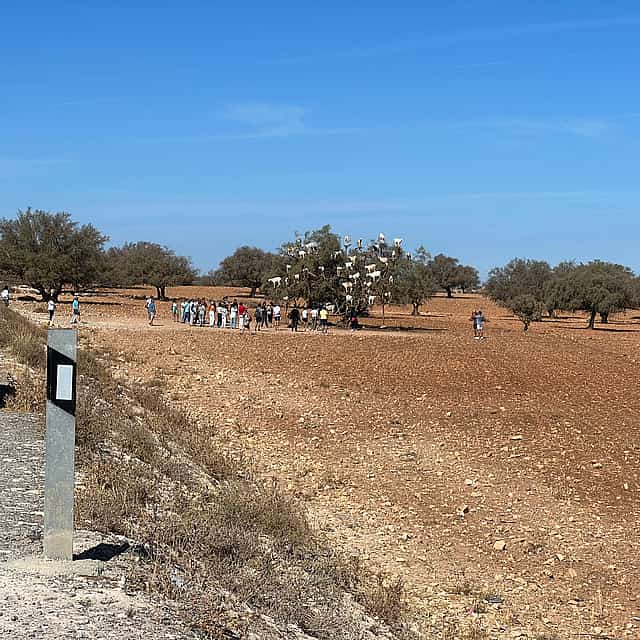 Ganztagestour nach Essaouira ab Marrakesch