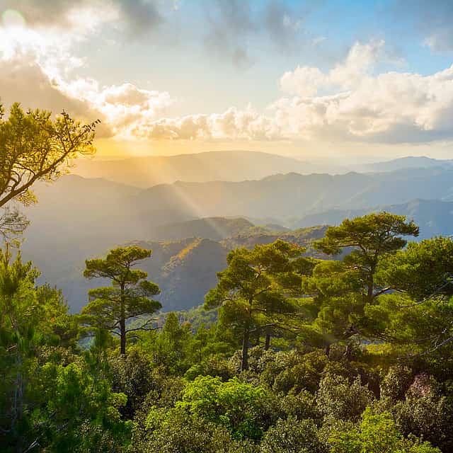 The Troodos Mountains Tour
