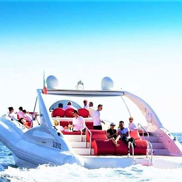 Luxury Opera 60 Whale & Dolphin Watching Experience