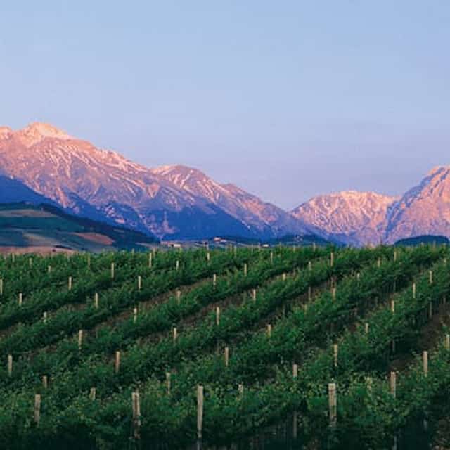 Visit and Tasting at the San Lorenzo's winery, among old houses and of its green coutryside