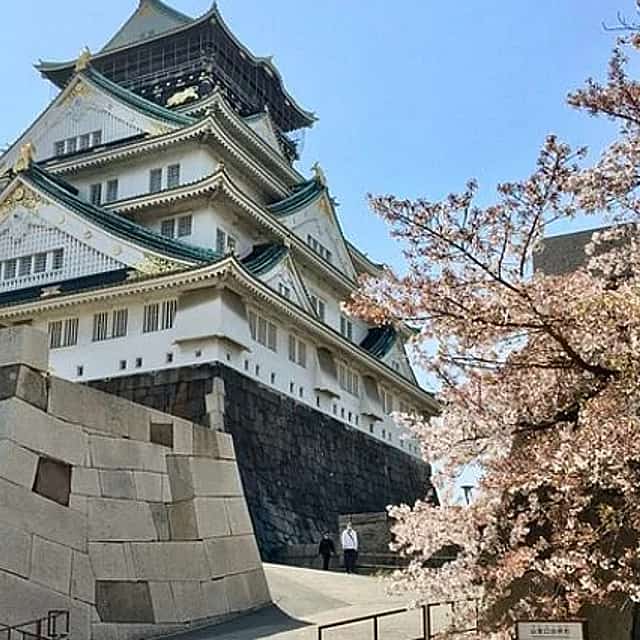 Visita guiada privada a pie de medio día al Castillo de Osaka