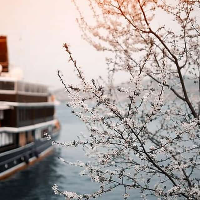 Private Transfer-Prague to River Cruise Dock Nuremberg: Port / Harbor transport