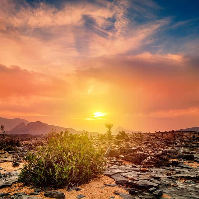 Nizwa to Jebel Shams Odyssey