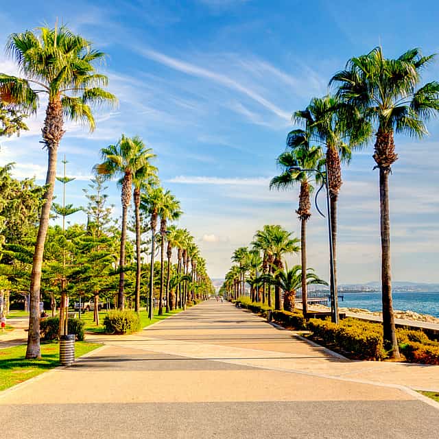 Discover the Island Cyprus