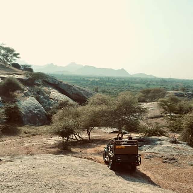 4-Day Wild Mewar & Jawai Leopard Safari Tour