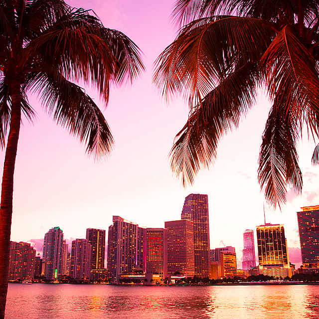 Der perfekte Tag in Miami