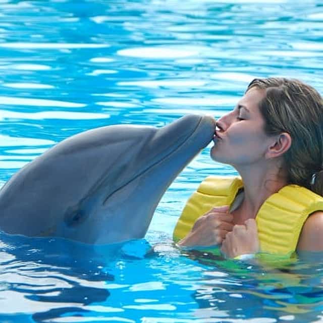 Biglietti Dubai Dolphinarium