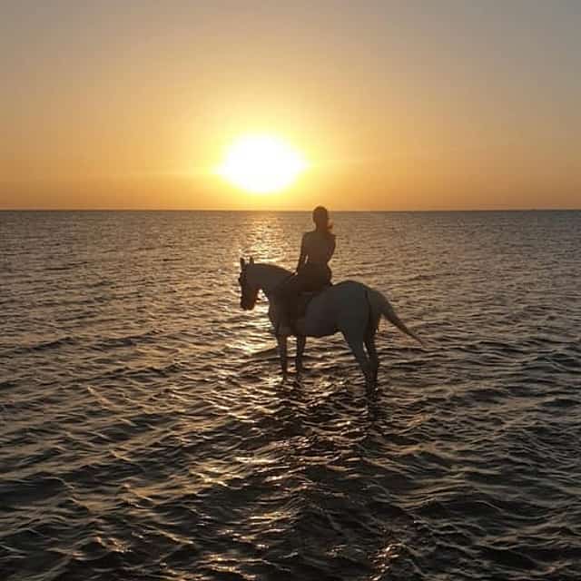 Hurghada Horseback Riding - 2 Hours Beach Ride