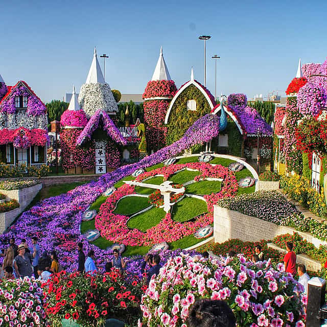 Dubai Miracle Garden Tickets with Round Trip Transfers