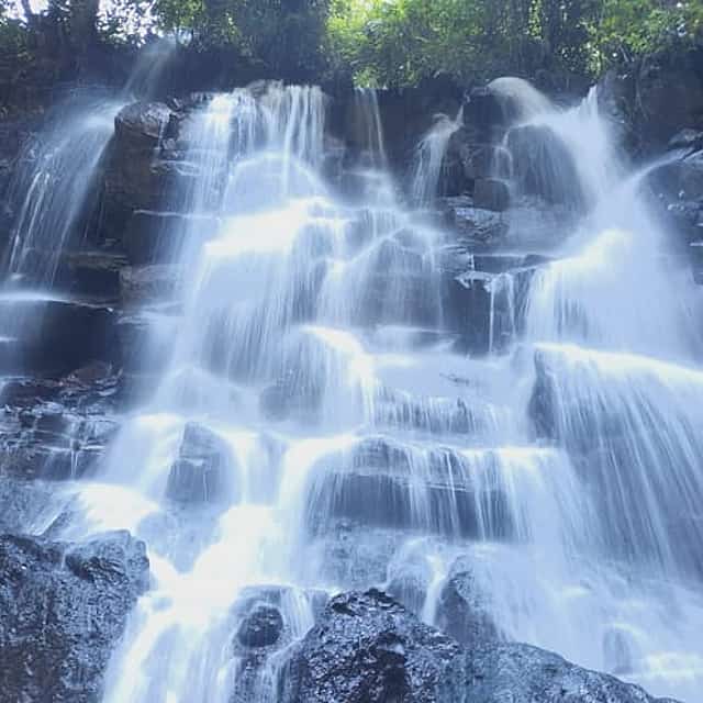 Trekking and Tegallalang Rice Terace Field Including Waterfall Ubud Tour