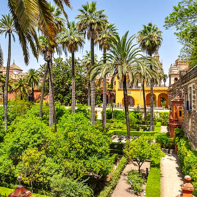 Sevilla and Osuna Game of Thrones Tour with Private Transfer