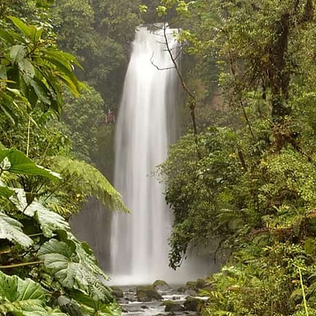 Private Transfer From San Jose to Monteverde With 2 Stops
