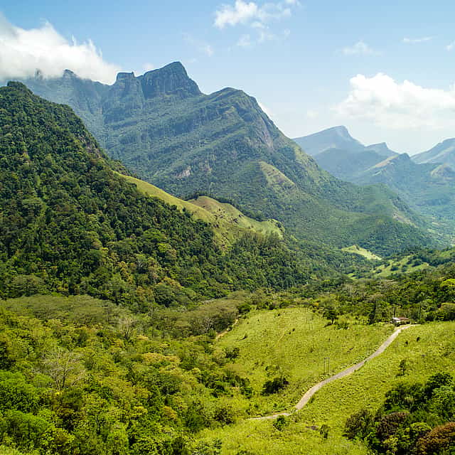 Private Trekking Tour to Knuckles Valley