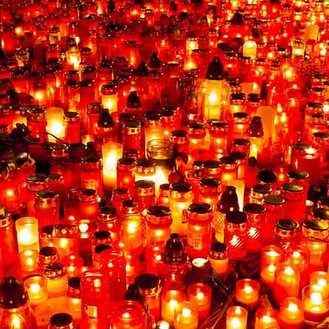 Surviving Communism and World War II & Entrance Ticket with Russian Guide