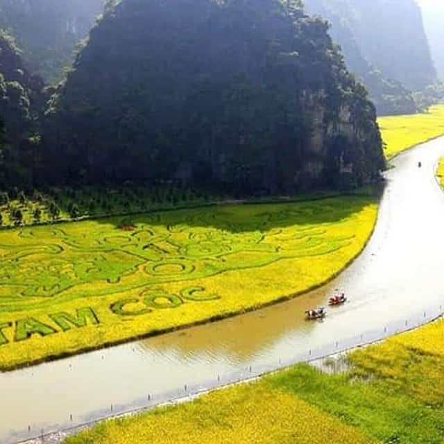 Ninh Binh Full-Day Tour: Hoa Lu, Tam Coc & Limousine from Hanoi