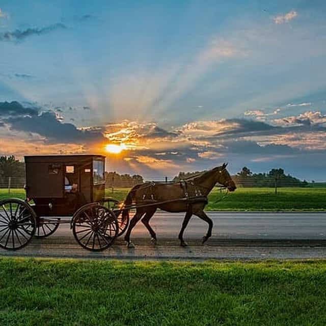 Excursion to Philadelphia and the Amish Region from New York