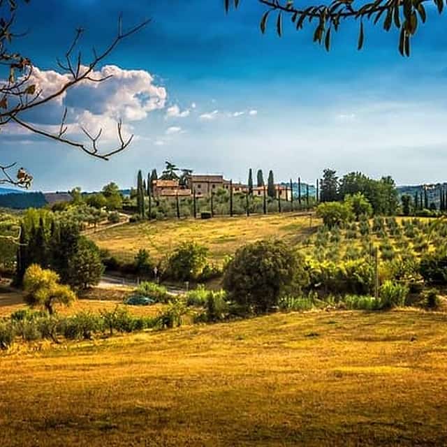 Exclusive Private Carmignano Experience: The First Cabernet Sauvignon in Tuscany