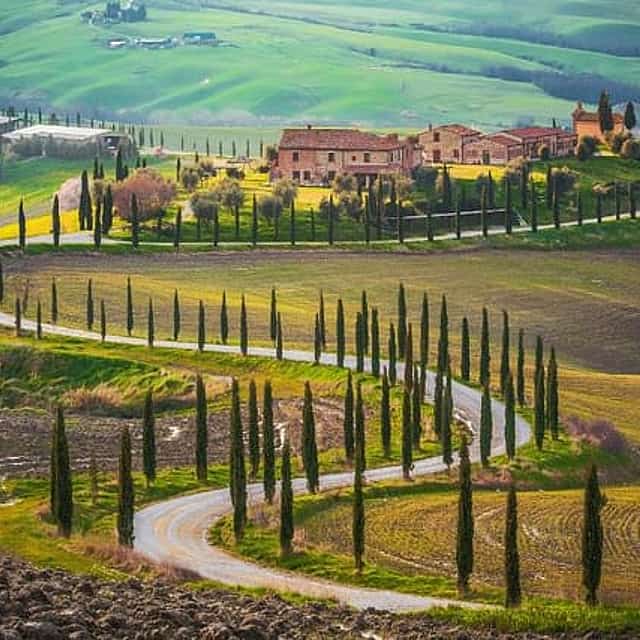 Visite œnologique du Brunello di Montalcino depuis San Gimignano