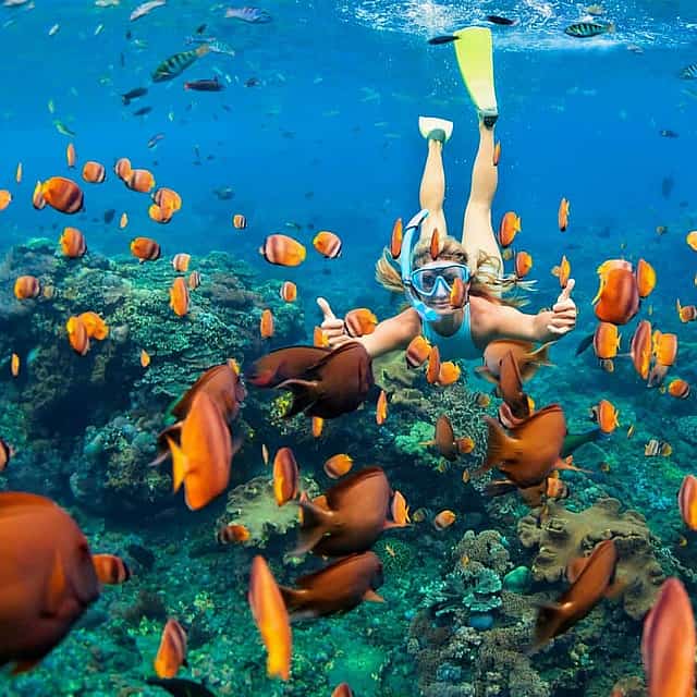 Snorkeling and Sunset cruise