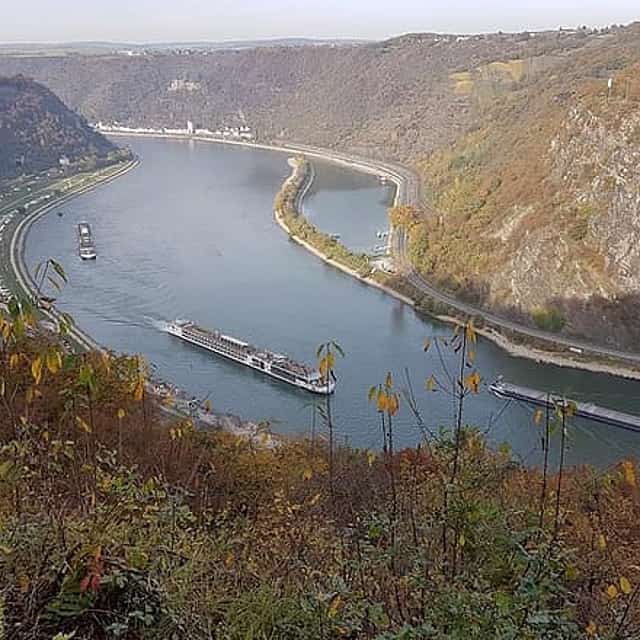 Excursion from Frankfurt to Rüdesheim - Half day