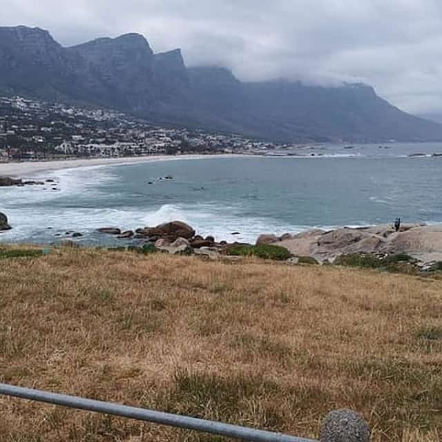Private Cape of Good Hope Cape Point Penguins Kirstenbosch Tour