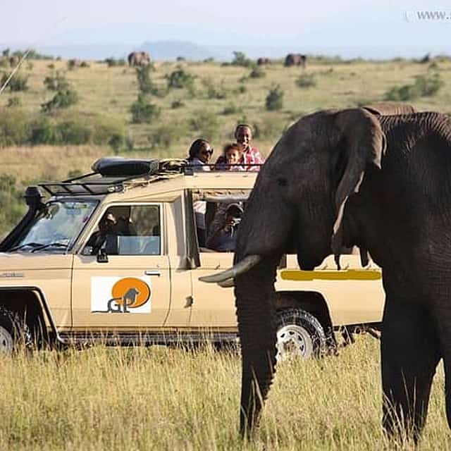 Private 9 Day Safari: Kenya & Tanzania