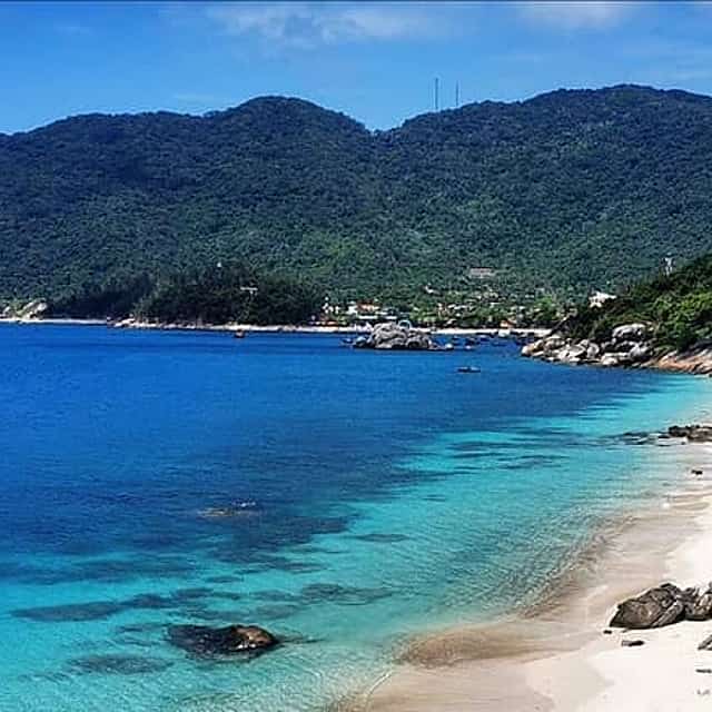 占婆岛水肺潜水之旅，适合持证潜水员或初学者