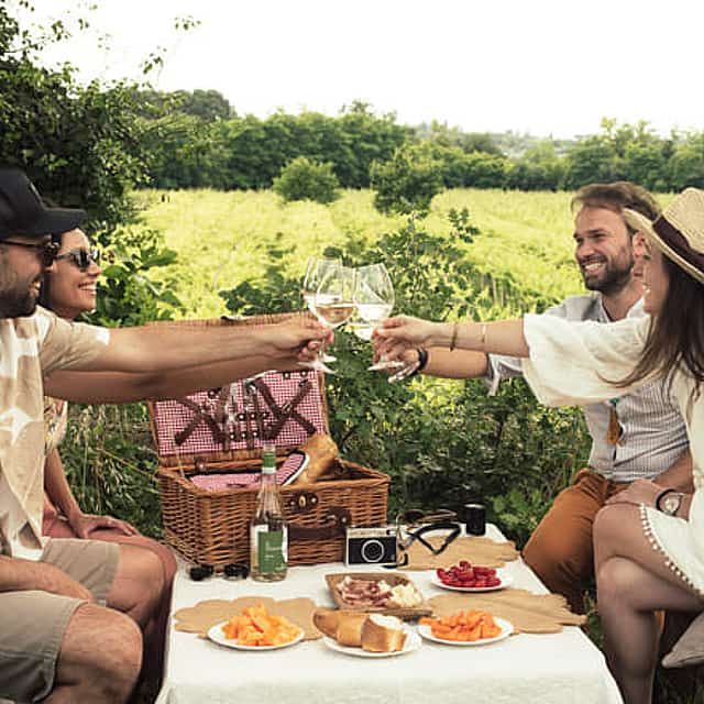 Pic Nic with Wine Tasting in the Vineyards