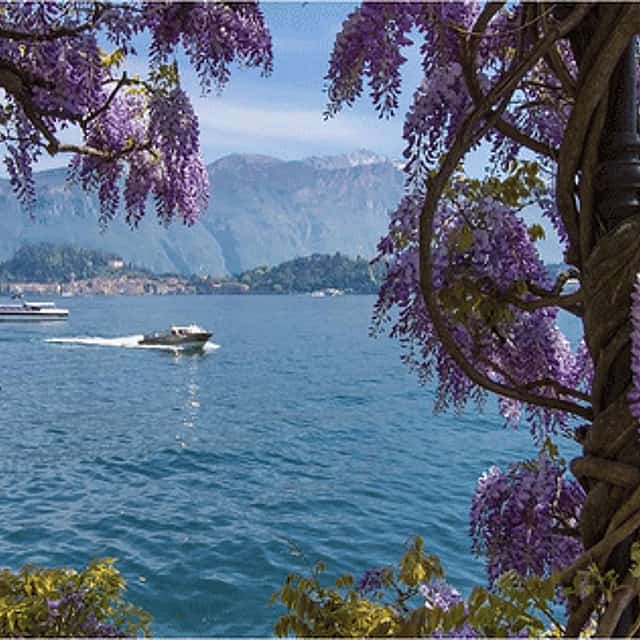 Lake Como Small Group Tour from Milan: Menaggio, Bellagio & Varenna with ferry