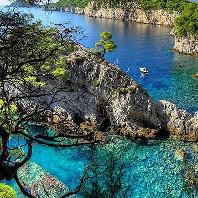 Private Half - Day Tour: Speedboat Tour