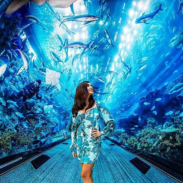 Dubai Aquarium & Underwater Zoo