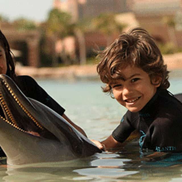 Jugar con Delfines (Agua Poco Profunda)