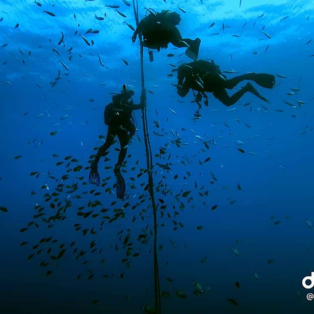 Become a Certified Open Water Diver from Azores - São Miguel  - Your Underwater Adventure Starts Here!