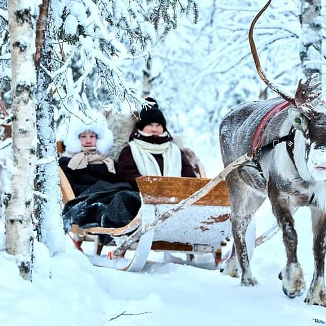 Reindeer farm and reindeer safari express 0,6 km, Levi