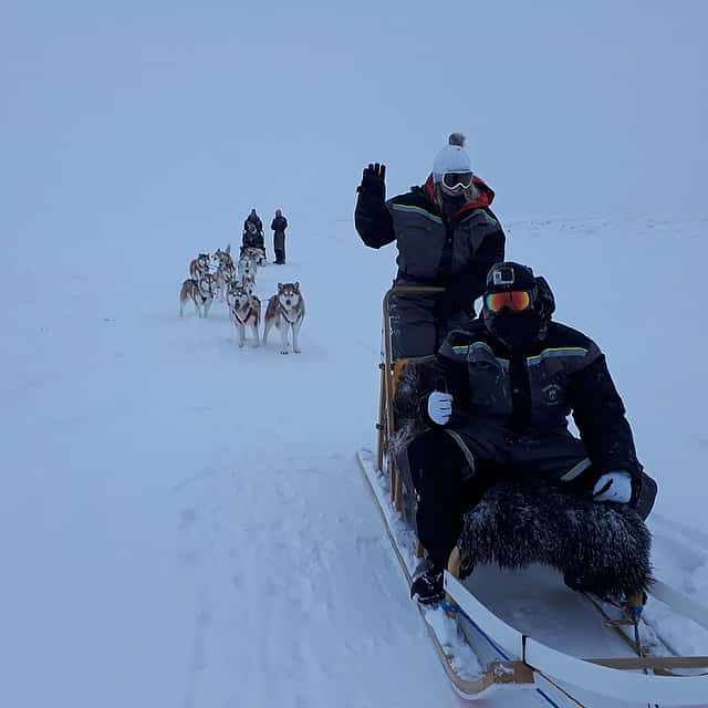 Dog Sledding on Snow