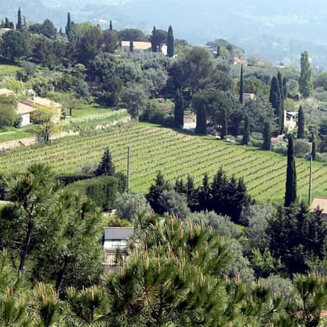 Private Provence Wine Adventure from Toulon Port