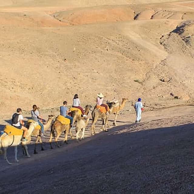Quad & Camel Ride in Agafay Desert