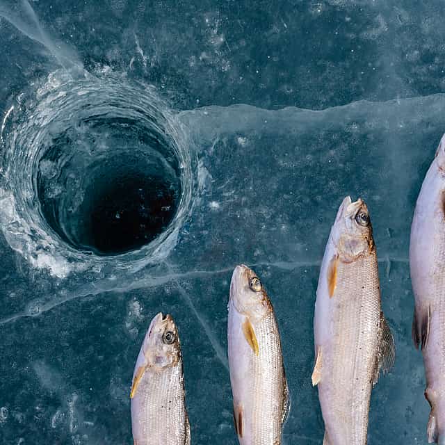Ice Fishing and Steaming Hot Drinks