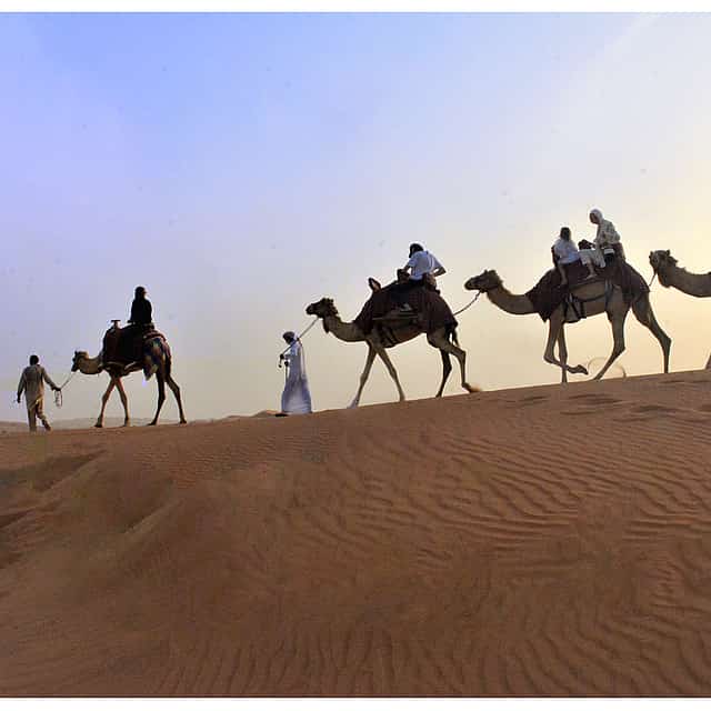 Morning Camel Trekking with Quad Biking
