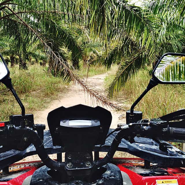 Ubud ATV Quad Bike Adventure