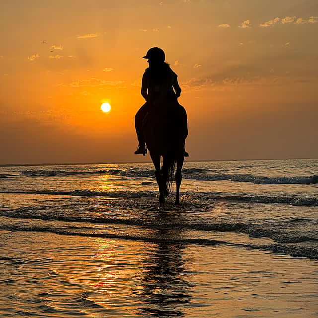 Horse Riding Oman
