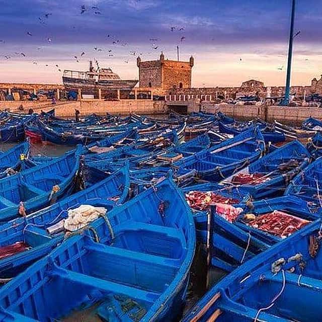 Day Trip Essaouira Coast from Marrakech With Guide