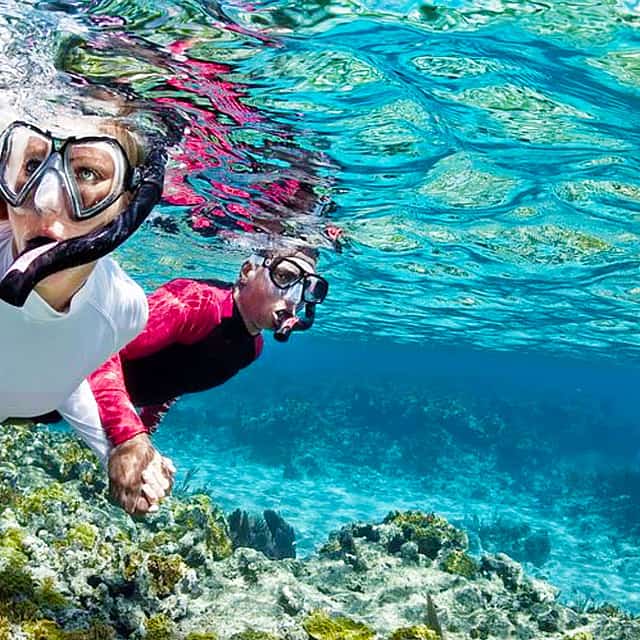 Excursion de snorkeling à l'île Giftoun au départ d'Hurghada
